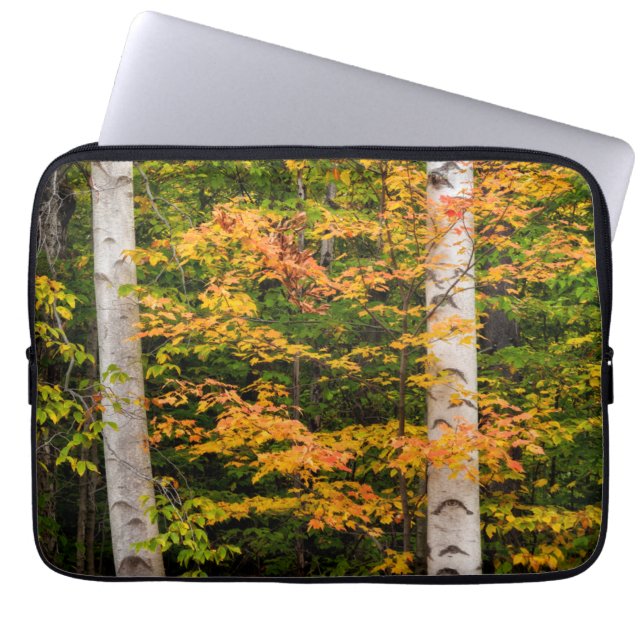 Capa Para Notebook Maple & White Birch | Montanhas brancas, NH (Frente)