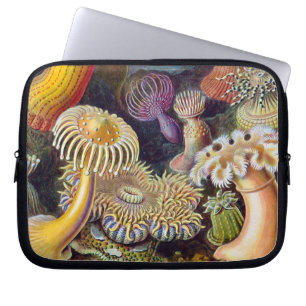 Capa Para Notebook Mar Anêmona Natureza Científica Oceânica