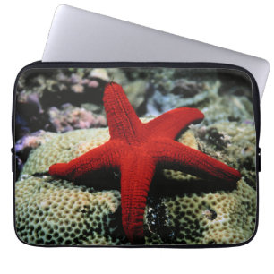 Capa Para Notebook Mar Vermelho dos peixes   da estrela