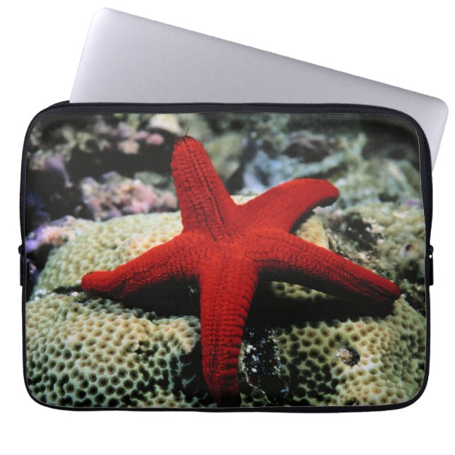Capa Para Notebook Mar Vermelho dos peixes | da estrela (Frente)