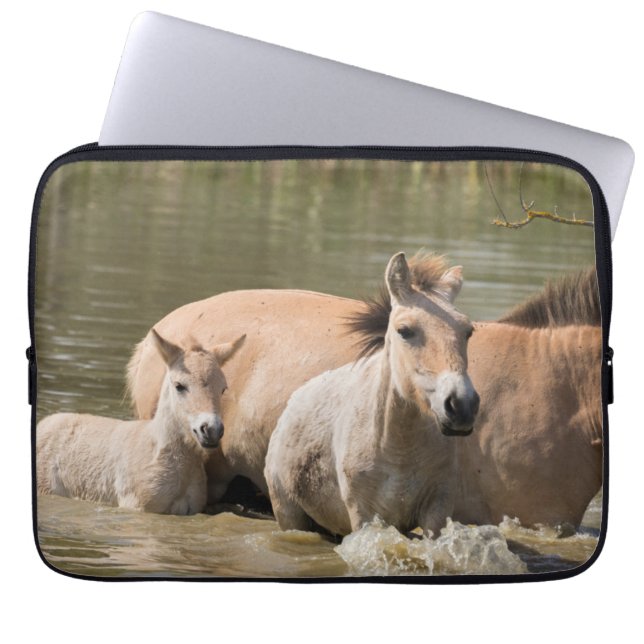 Capa Para Notebook Mare com Foal Cruzando um Rio (Frente)