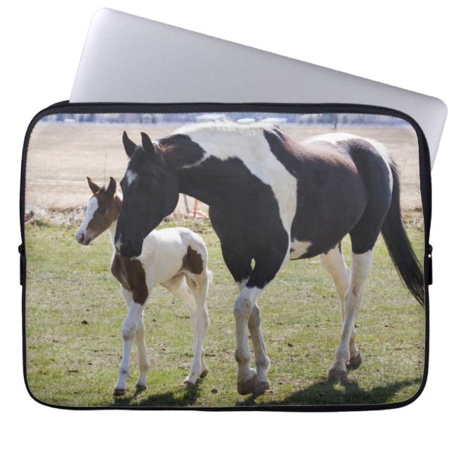 Capa Para Notebook Mare e Filly Walking (Frente)