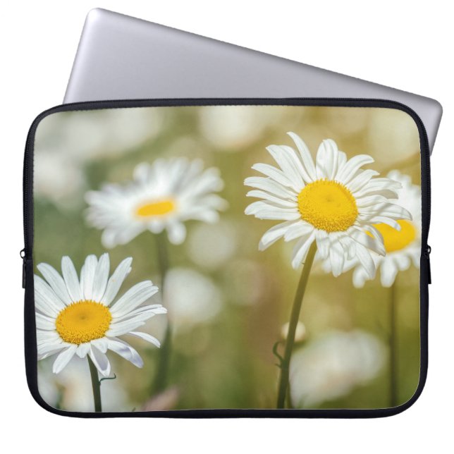 Capa Para Notebook Margaridas Vibrantes de Olho Branco (Frente)