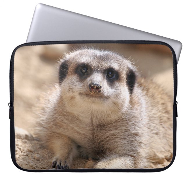 Capa Para Notebook Meerkat 174 (Frente)