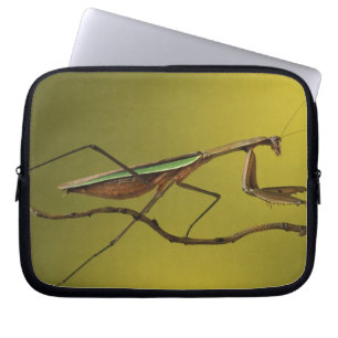Capa Para Notebook Michigan, Rochester Hills. Louva-a-deus