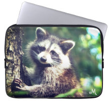 Monograma e guaxinim selvagem na selva