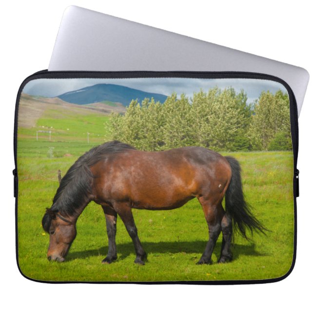Capa Para Notebook Mossfellsbaer Cavalo Islandês (Frente)