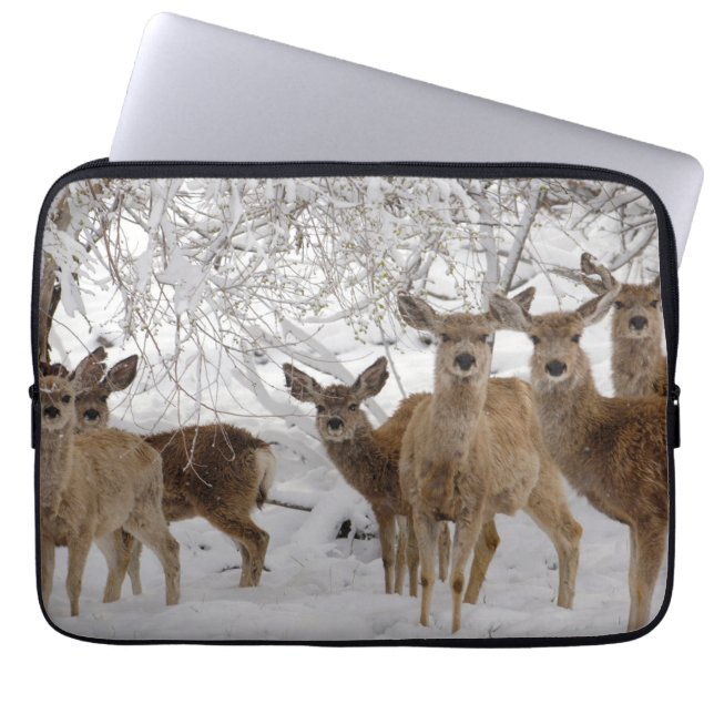 Capa Para Notebook Mule Deer Wyoming (Frente)