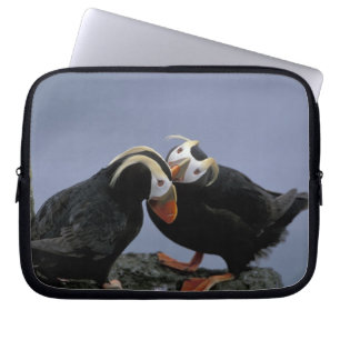 Capa Para Notebook NA, EUA, Alasca, Mar de Bering, Pribilofs. Penacho