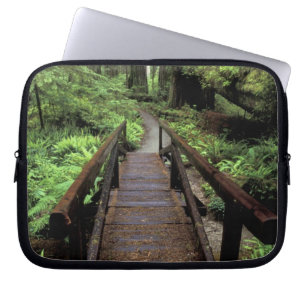Capa Para Notebook NA, EUA, Califórnia, Jedidiah Smith Redwoods