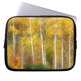 Capa Para Notebook NA, EUA, Washington, Árvores de Aspen no Outono ao