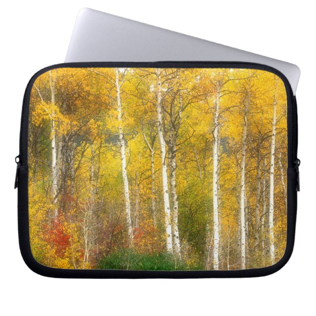 Capa Para Notebook NA, EUA, Washington, Árvores de Aspen no Outono ao (Frente)