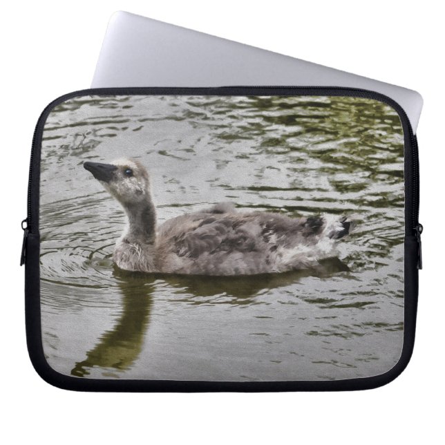 Capa Para Notebook Nadação Canadá Gosling Wildlife Art Scene (Frente)