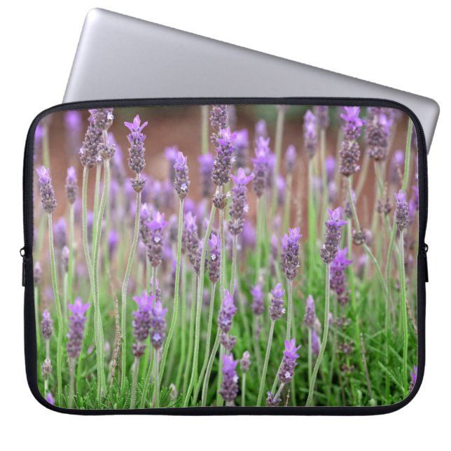 Capa Para Notebook Natureza (Frente)