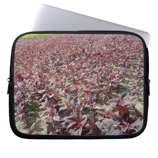 Capa Para Notebook Neoprene Bolsa de laptop 10 polegadas (Frente)