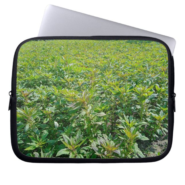 Capa Para Notebook Neoprene Bolsa de laptop 10 polegadas (Frente)