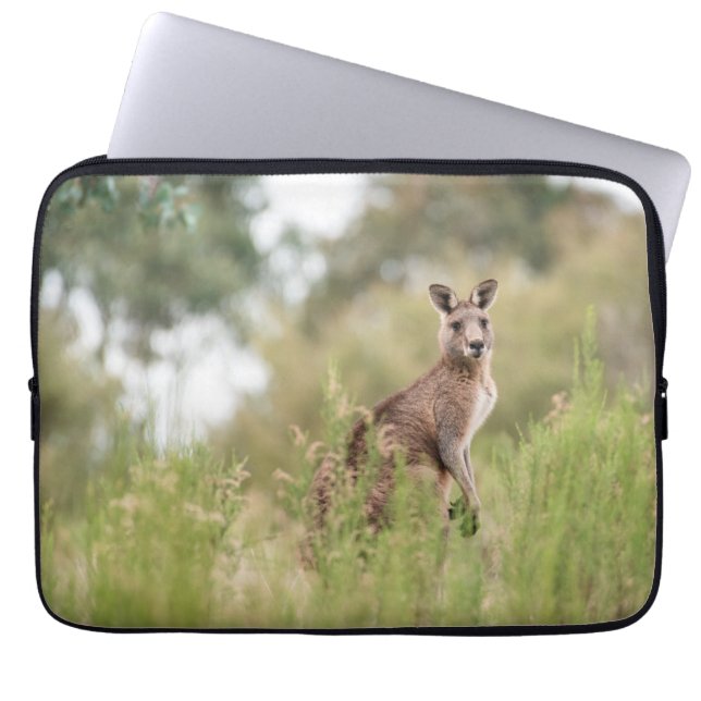 Capa Para Notebook Neoprene Bolsa de laptop 13 polegadas (Frente)