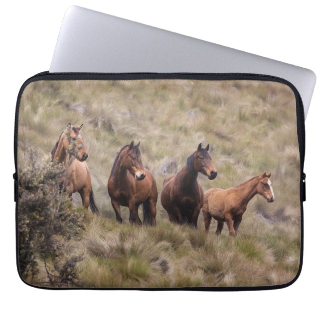 Capa Para Notebook Neoprene Bolsa de laptop 13 polegadas (Frente)