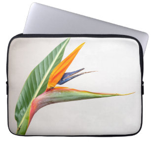 Capa Para Notebook Neoprene Bolsa de laptop 13 polegadas