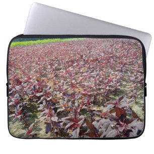 Capa Para Notebook Neoprene Bolsa de laptop 13 polegadas