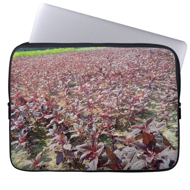 Capa Para Notebook Neoprene Bolsa de laptop 13 polegadas (Frente)