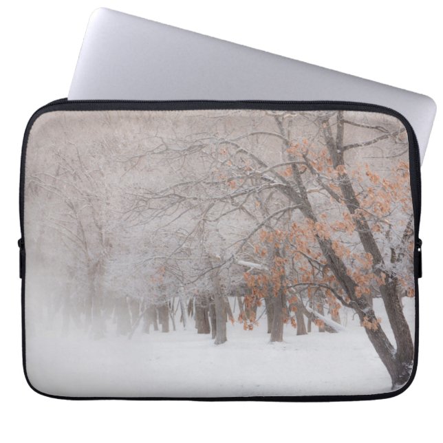 Capa Para Notebook Neve de inverno | Lago Kussharo (Frente)