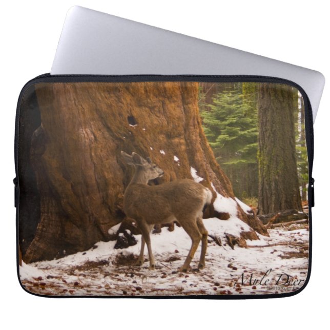 Capa Para Notebook Noite de Boogie de Nova York (Frente)