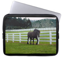 Nonesuch at Cedar Point 