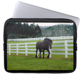 Capa Para Notebook Nonesuch at Cedar Point