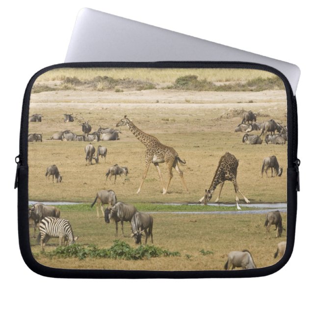 Capa Para Notebook Ñus, Zebras e Girafas (Frente)