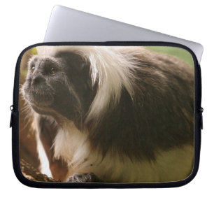 Capa Para Notebook O algodão cobriu o macaco do Tamarin