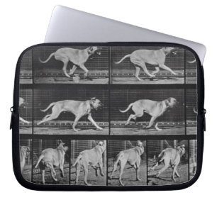 Capa Para Notebook O cão Running, chapeia 707 "da locomoção animal