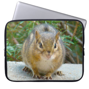 Capa Para Notebook O Chipset Bonito Está De Olho Em Você
