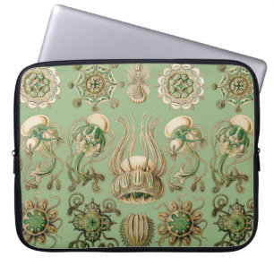 Capa Para Notebook O Narcomedusae de Ernst Haeckel
