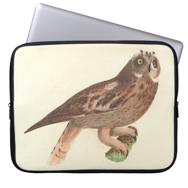 Capa Para Notebook O Pássaro de Nova Iorque (Otus palustris) (Frente)