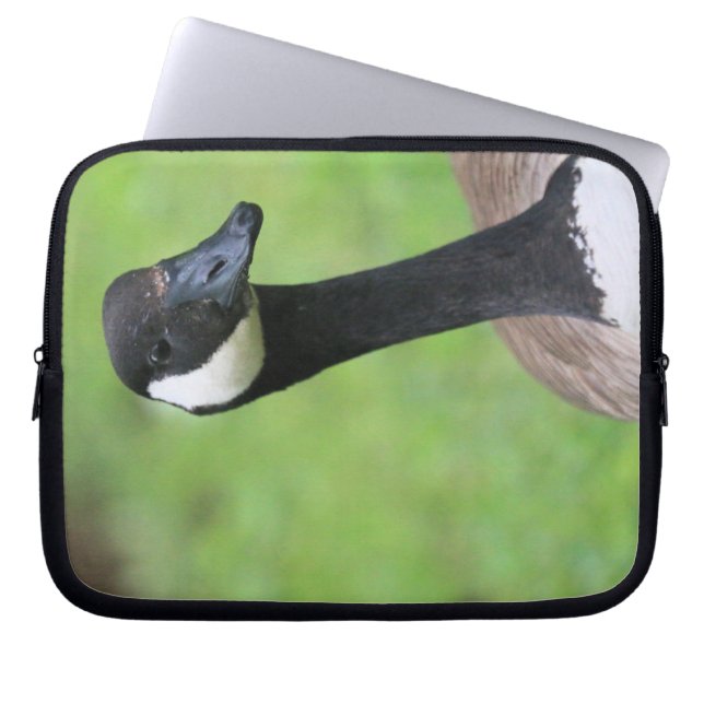 Capa Para Notebook O quê? (Frente)