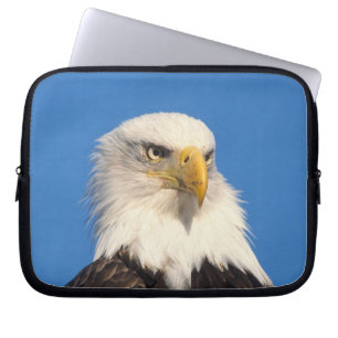 Capa Para Notebook Olhar de Águia Americana