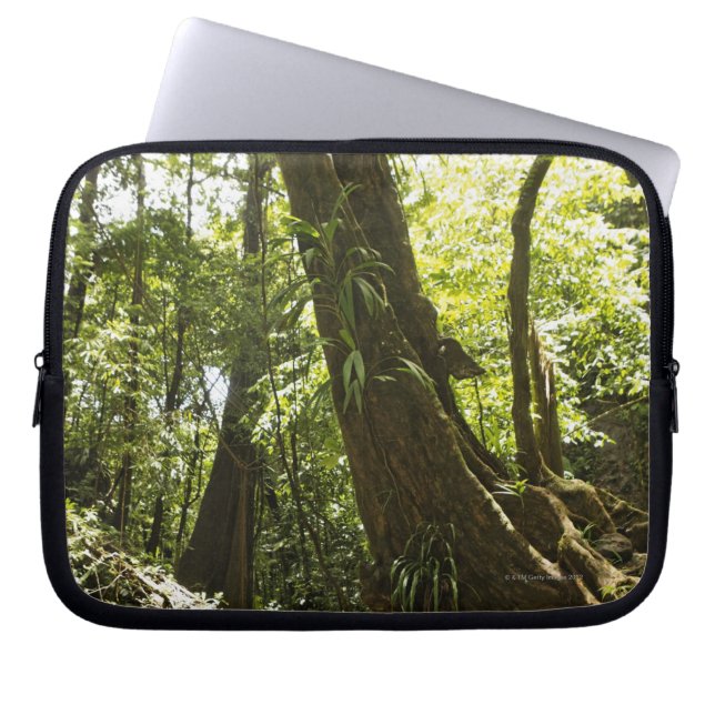 Capa Para Notebook opinião da floresta húmida, Dominica (Frente)
