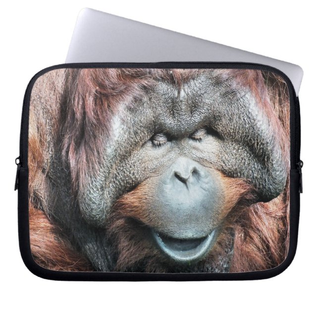 CAPA PARA NOTEBOOK ORANGUTANOS (Frente)