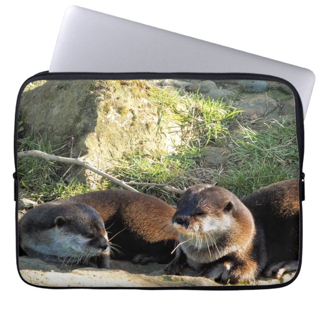 CAPA PARA NOTEBOOK OTTERS (Frente)