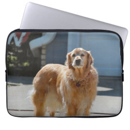 Capa Para Notebook Ouro Sunshine