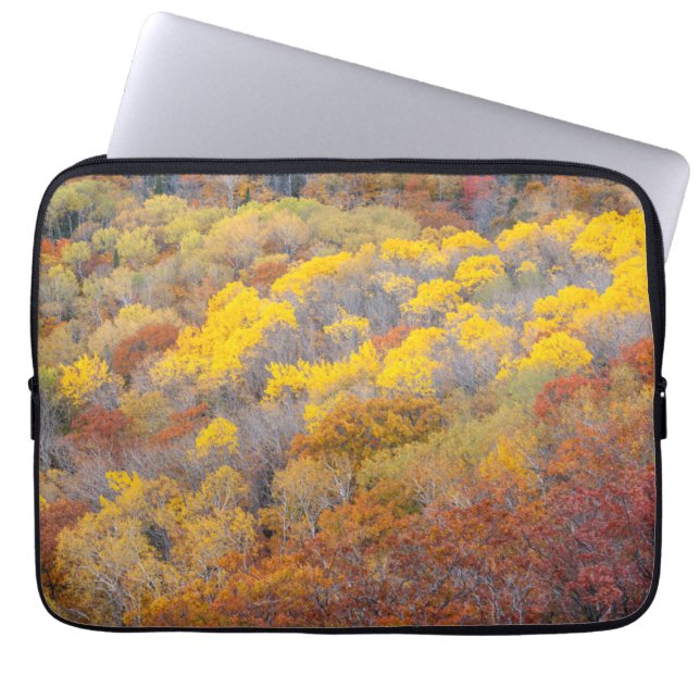 Capa Para Notebook Outono em Michigan (Frente)