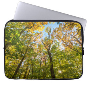 Capa Para Notebook Outono em uma floresta em Amesbury, Massachusetts