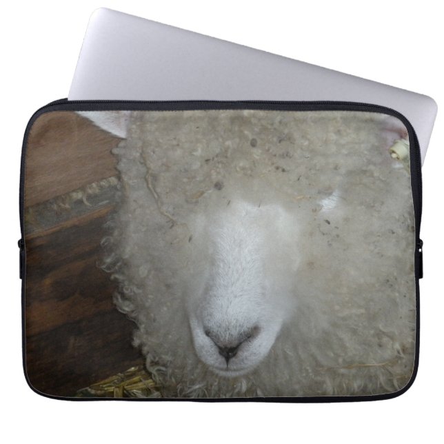Capa Para Notebook Ovinos na feira do condado (Frente)