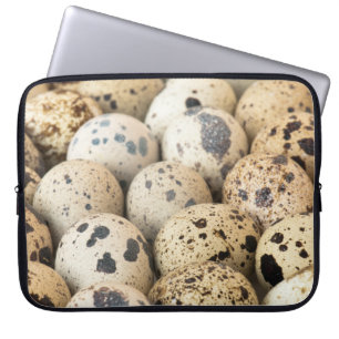 Capa Para Notebook Ovos de codorniz