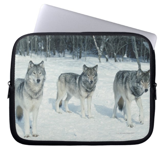 Capa Para Notebook Pacote de lobos na borda de neve (Frente)