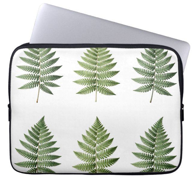 Capa Para Notebook Padrão de Ilustração de Folhas de Samambaia Botâni (Frente)