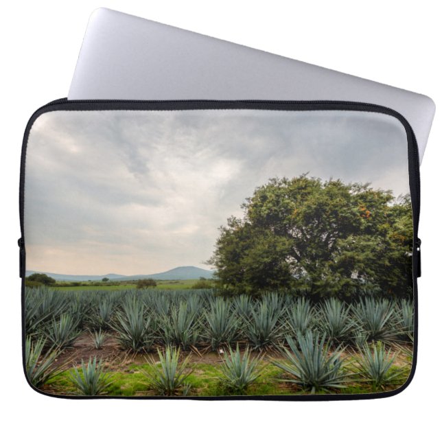 Capa Para Notebook Paisagem com agave azul (Frente)