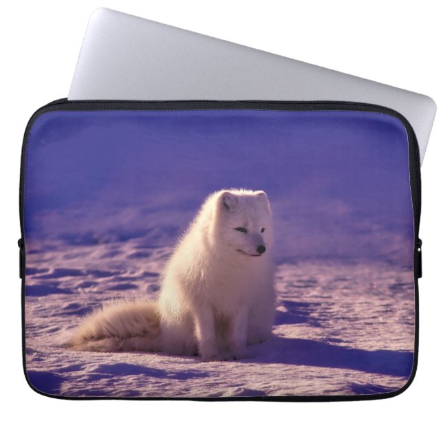 Capa Para Notebook Paisagem de Neve de inverno com Raposa Árctica (Frente)
