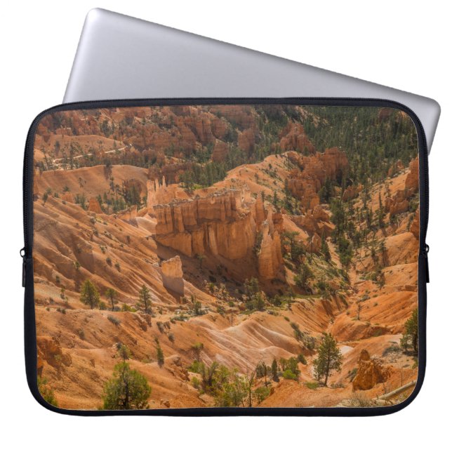 Capa Para Notebook Paisagem deserta do Parque Nacional de Bryce Canyo (Frente)